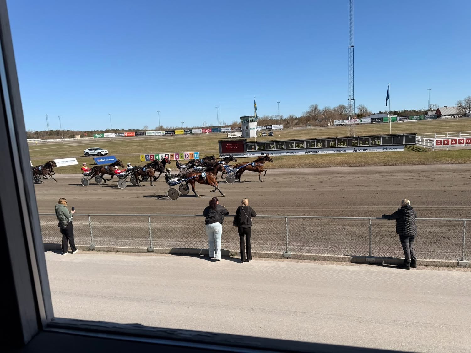 Travhästar i full fart på Visbytravets bana